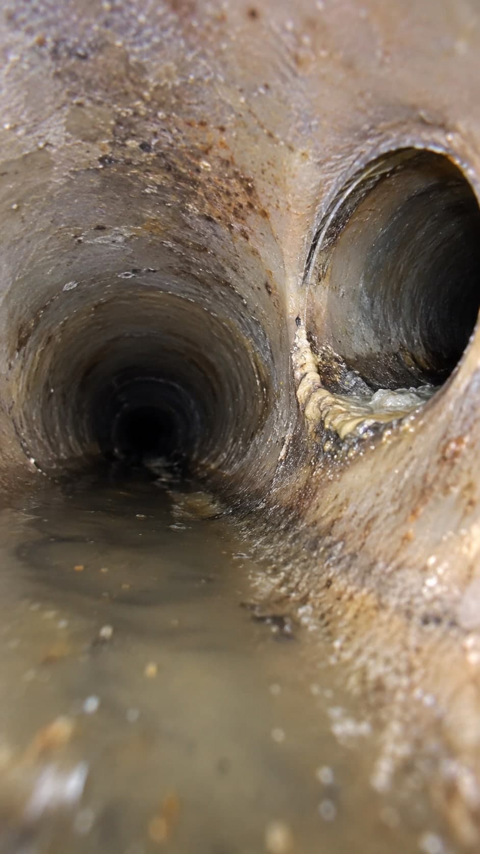 Illustration: camera view of debris built up where a branch line joins the sewer